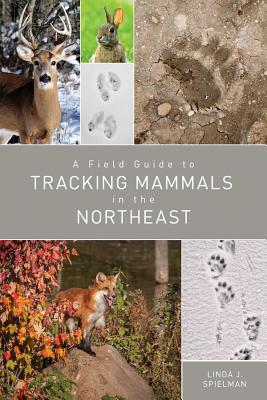 A Field Guide to Tracking Mammals in the Northeast By Linda J. Spielman Cover Image
