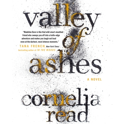Valley of Ashes Cover