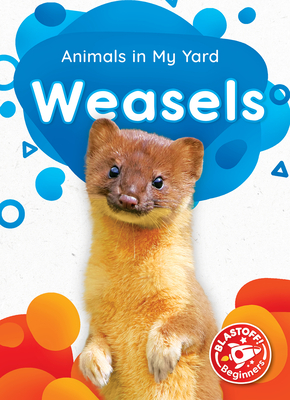 Weasels (Animals in My Yard)