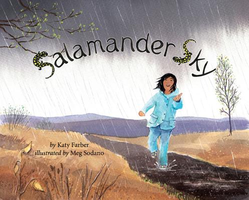 Salamander Sky By Katy Farber, Meg Sodano (Illustrator) Cover Image