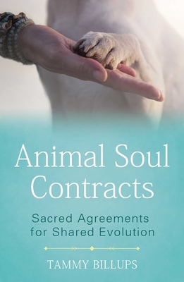 Animal Soul Contracts: Sacred Agreements for Shared Evolution By Tammy Billups Cover Image