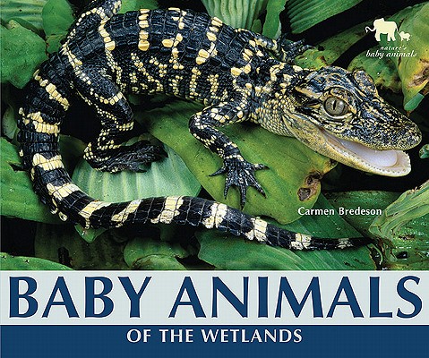 Baby Animals of the Wetlands (Nature's Baby Animals) Cover Image