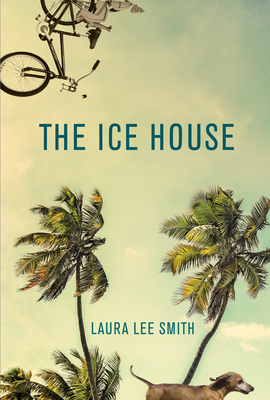 Cover Image for The Ice House