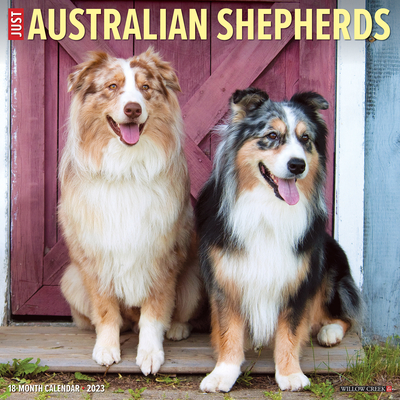 Just Australian Shepherds 2023 Wall Calendar By Willow Creek Press Cover Image