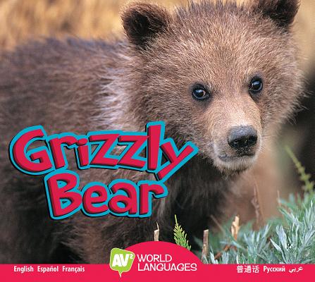 Grizzly Bear (World Languages) Cover Image