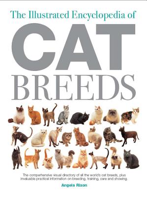 How To Care For Every Cat Breed