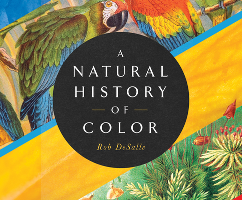 A Natural History of Color: The Science Behind What We See and How We See It By Rob DeSalle, Hans Bachor, George Newbern (Read by) Cover Image