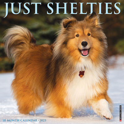 Just Shelties 2023 Wall Calendar By Willow Creek Press Cover Image