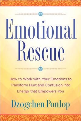 Emotional Rescue: How to Work with Your Emotions to Transform Hurt and Confusion into Energy That Empowers You