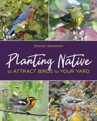 Planting Native to Attract Birds to Your Yard By Sharon Sorenson Cover Image