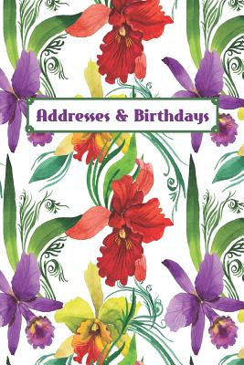 Addresses & Birthdays: Watercolor Fancy Orchids Cover Image