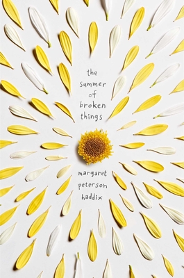 The Summer of Broken Things Cover Image