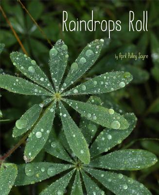 Cover for Raindrops Roll (Weather Walks)