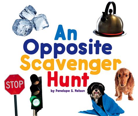 An Opposite Scavenger Hunt (Scavenger Hunts) By Penelope S. Nelson Cover Image