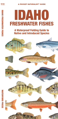 Idaho Freshwater Fishes: A Waterproof Folding Guide to Native and Introduced Species By Matthew Morris, Waterford Press, Raymond Leung (Illustrator) Cover Image