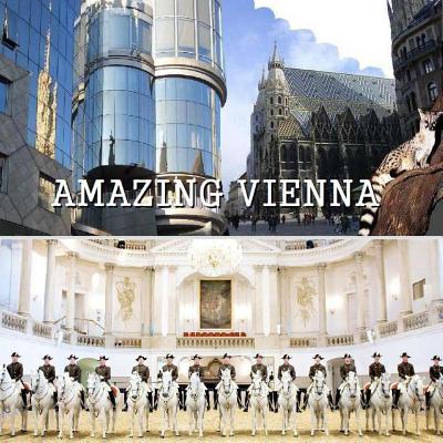 Amazing Vienna By Richard Matevosyan, Naira Matevosyan Cover Image