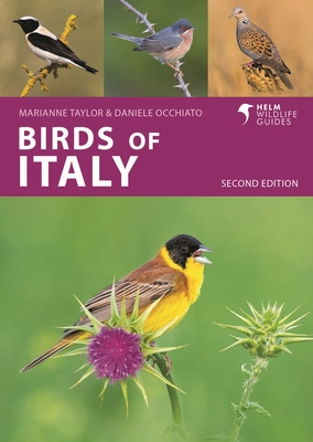 Birds of Italy: Second Edition (Helm Wildlife Guides) Cover Image