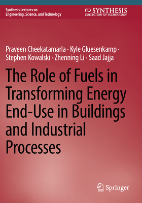 The Role of Fuels in Transforming Energy End-Use in Buildings and Industrial Processes (Synthesis Lectures on Engineering)