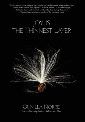 Cover for Joy Is the Thinnest Layer