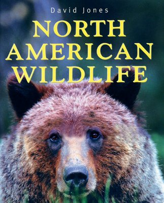 North American Wildlife (Paperback)