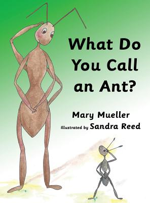 What Do You Call an Ant? By Mary Mueller, Sandra Reed (Illustrator) Cover Image