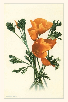 The Vintage Journal California Poppies Cover Image