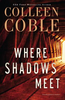 Where Shadows Meet: A Romantic Suspense Novel Cover Image