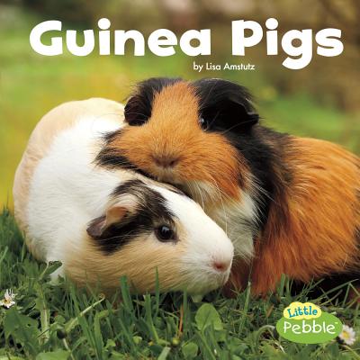 Guinea Pigs (Our Pets) By Lisa J. Amstutz Cover Image