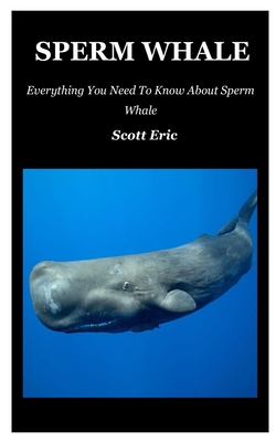 Sperm Whale: Everything You Need To Know About Sperm Whale Cover Image