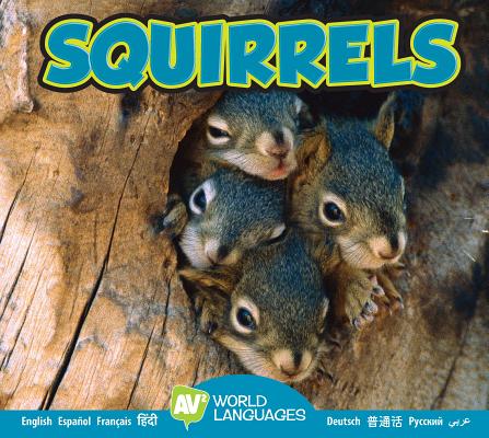 Squirrels (World Languages) Cover Image