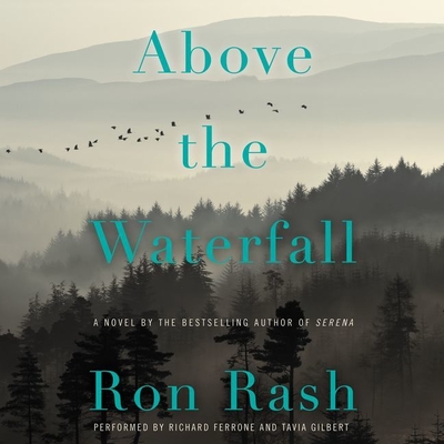 Above the Waterfall Cover Image