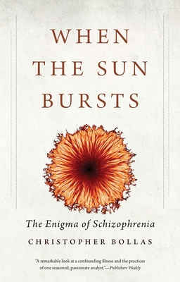 When the Sun Bursts: The Enigma of Schizophrenia Cover Image