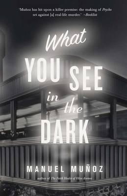 What You See in the Dark Cover