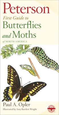 Peterson First Guide To Butterflies And Moths By Paul A. Opler, Amy Bartlett Wright (Illustrator) Cover Image