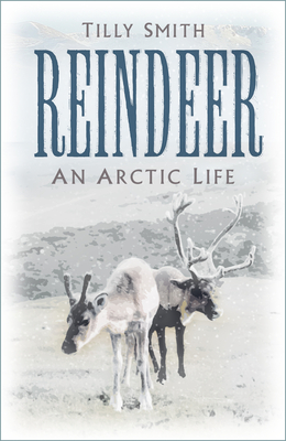 Reindeer: An Arctic Life By Tilly Smith Cover Image