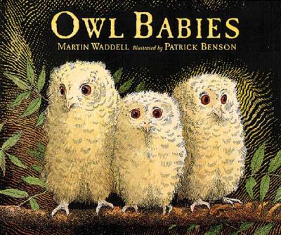 Owl Babies By Martin Waddell, Patrick Benson (Illustrator) Cover Image