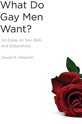 What Do Gay Men Want?: An Essay on Sex, Risk, and Subjectivity Cover Image