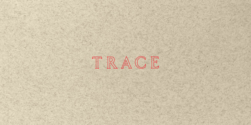 Jenny Holzer: Trace Cover Image