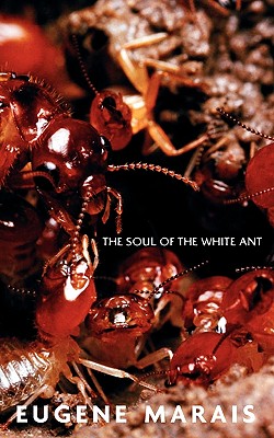 The Soul of the White Ant By Eugene N. Marais Cover Image