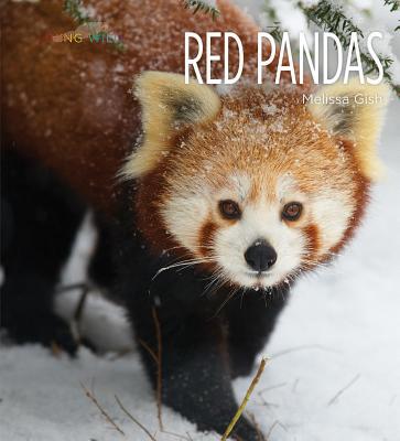 Red Pandas (Living Wild) Cover Image