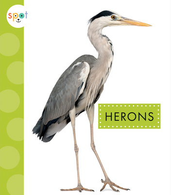 Herons (Spot Big Birds) By Lisa Amstutz Cover Image