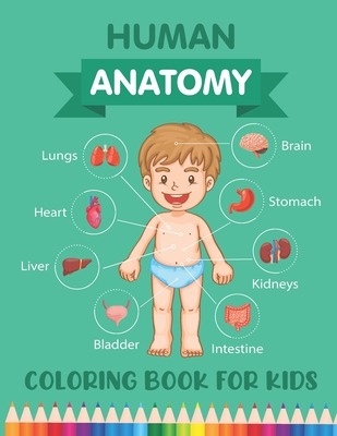 Anatomy & Physiology Coloring Book  Scientific Publishing Anatomy &  Physiology Coloring Book Anatomy & Physiology Coloring Book Anatomy &  Physiology Coloring Book