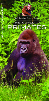 The World of Primates (Jeff Corwin's Explorer) By Jeff Corwin Cover Image