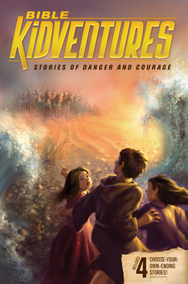Bible Kidventures Stories of Danger and Courage By Sheila Seifert, Jeanne Dennis Cover Image