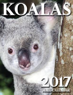 Koalas 2017 Wall Calendar By Lotus Art Cover Image