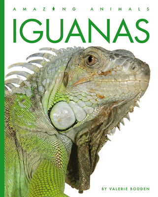 Iguanas (Amazing Animals) Cover Image
