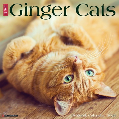 Just Ginger Cats 2024 12 X 12 Wall Calendar By Willow Creek Press Cover Image