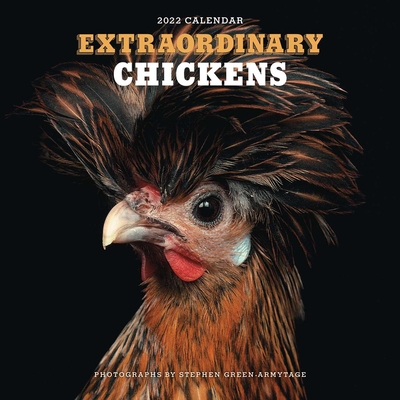 Extraordinary Chickens 2022 Wall Calendar By Stephen Green-Armytage Cover Image