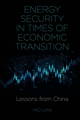 Energy Security in Times of Economic Transition: Lessons from China Cover Image