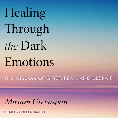 Healing Through the Dark Emotions Lib/E: The Wisdom of Grief, Fear, and Despair Cover Image